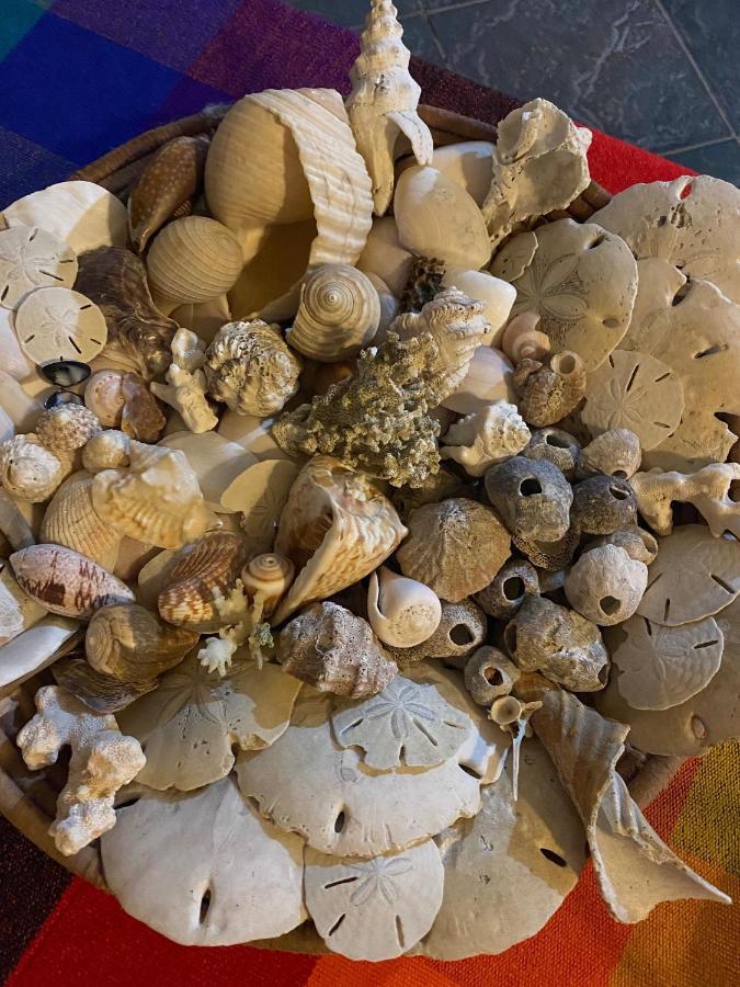 لاس تابلاس Uverito Sand Dollar B&B المظهر الخارجي الصورة